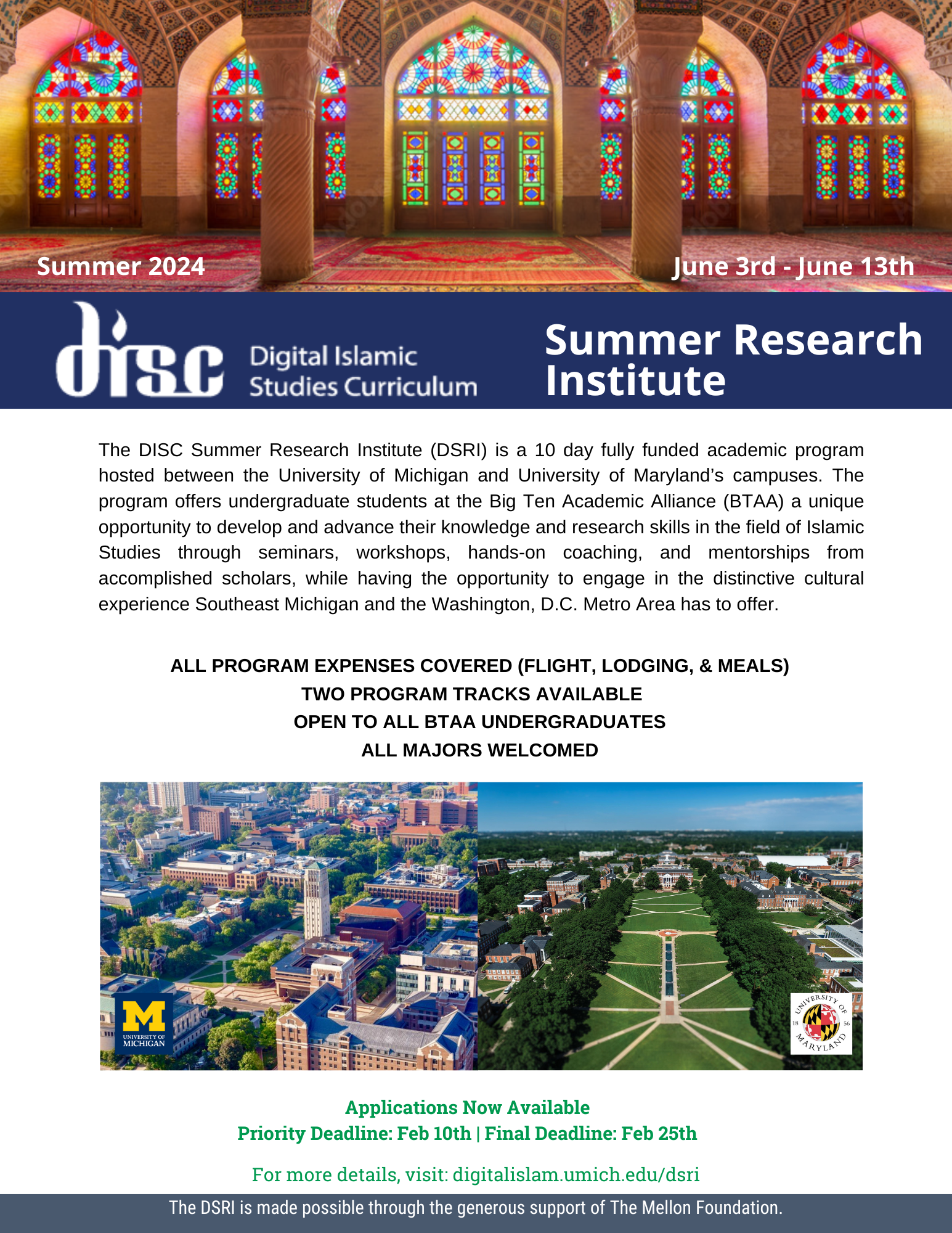 DISC Summer Research Institute Flyer