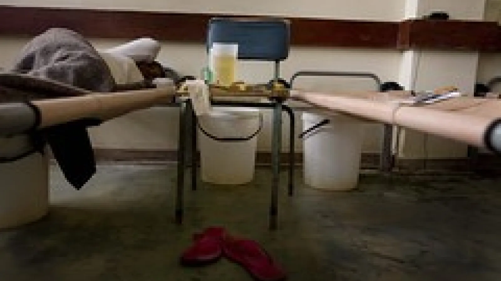 Cholera