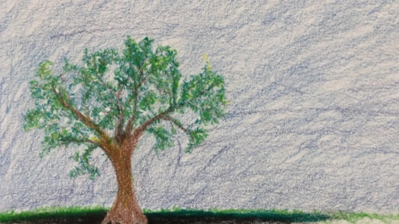 image of a tree with black soil beneath it