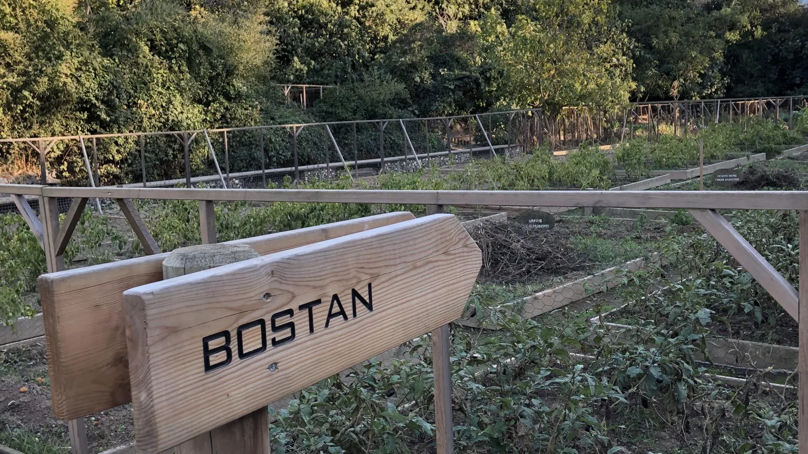 A "bostan" or community garden in Istanbul.  Photo by Melinda McClimans. All rights reserved.