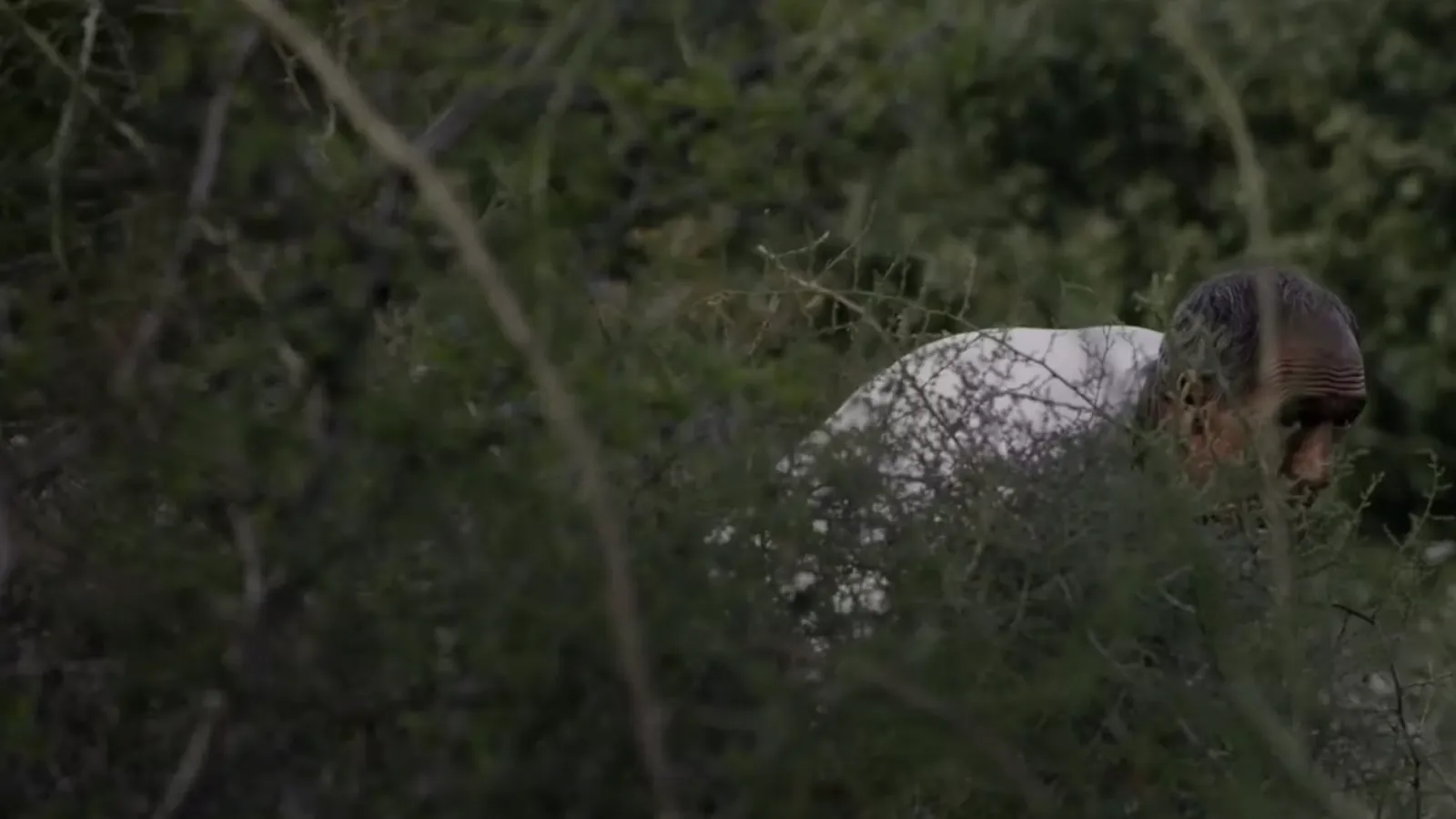 image of a still from the film, man hiding behind foliage
