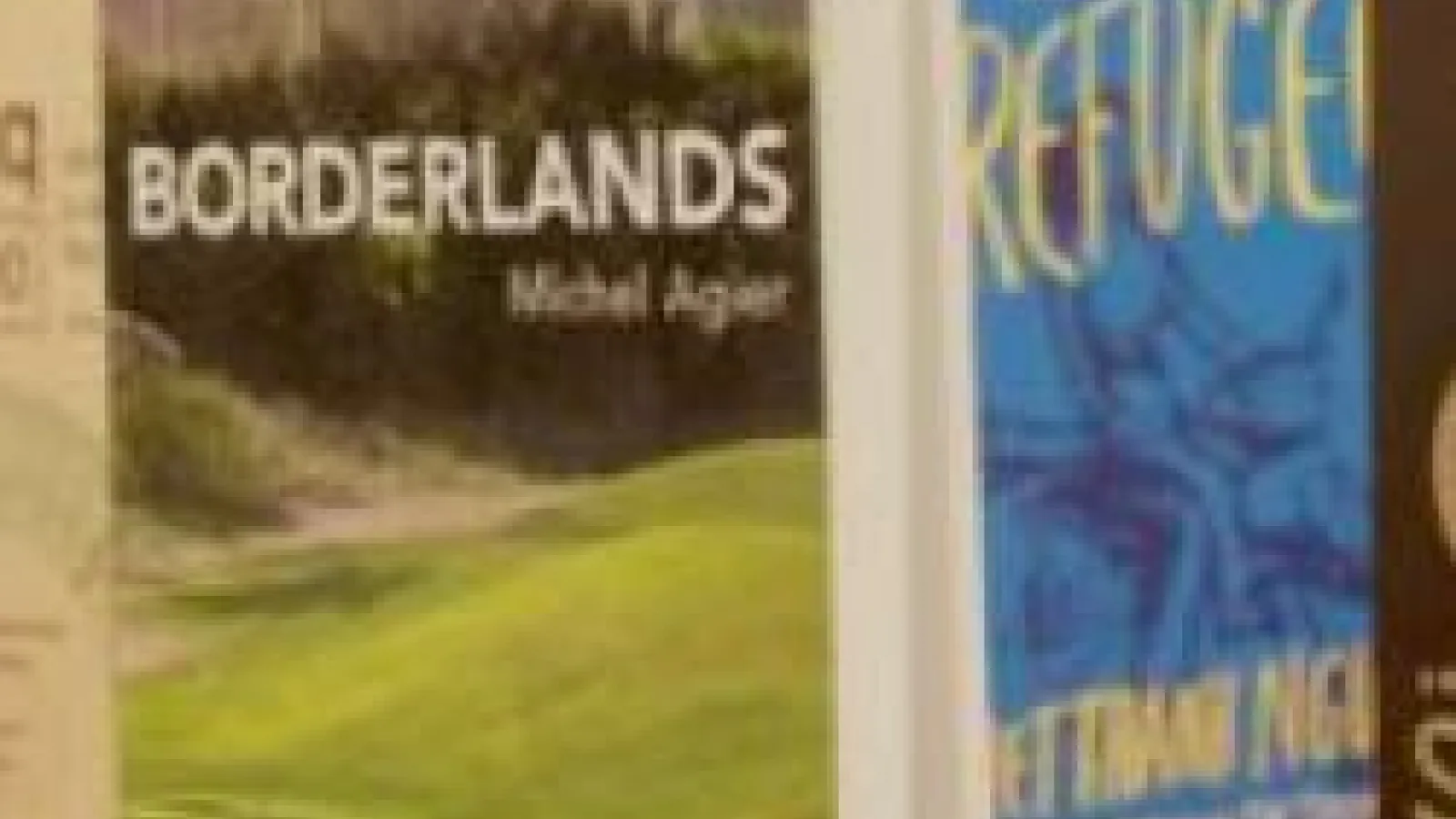 Migration Studies books