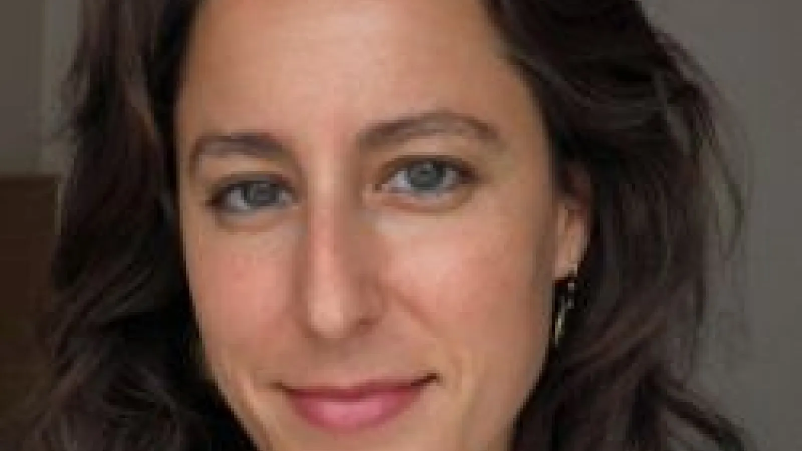 Christiane Gruber, Associate Professor of Islamic Art, University of Michigan.