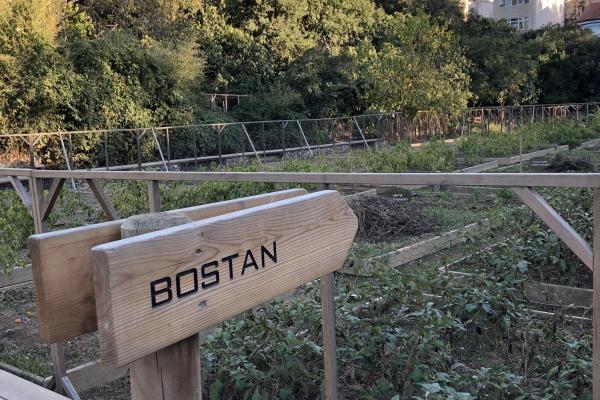 A "bostan" or community garden in Istanbul.  Photo by Melinda McClimans. All rights reserved.