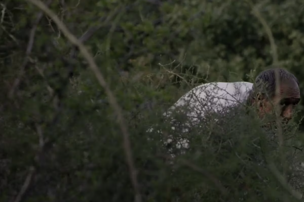 image of a still from the film, man hiding behind foliage