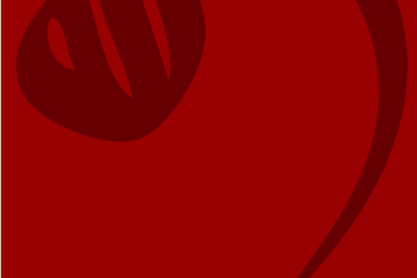 Calligraphic Design Calligraphic Design
